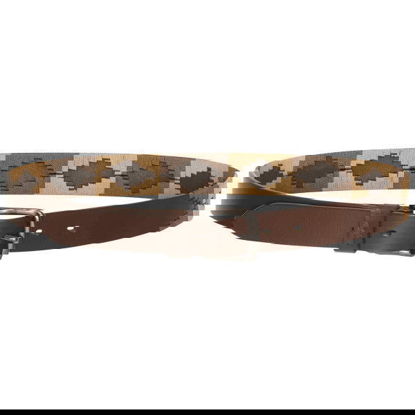 HV Polo Belt HVPChaya FW25, Polo Belt, Leather Belt, Riding Belt