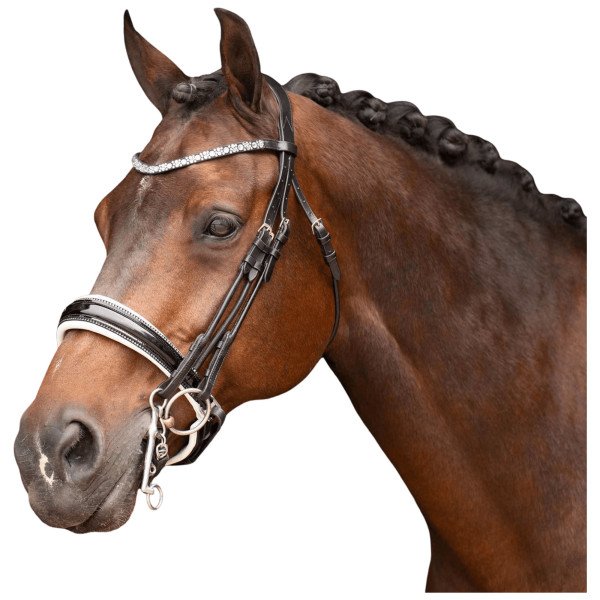 Imperial Riding Double Bridle IRHOlympia, Swedish Combined, without Reins