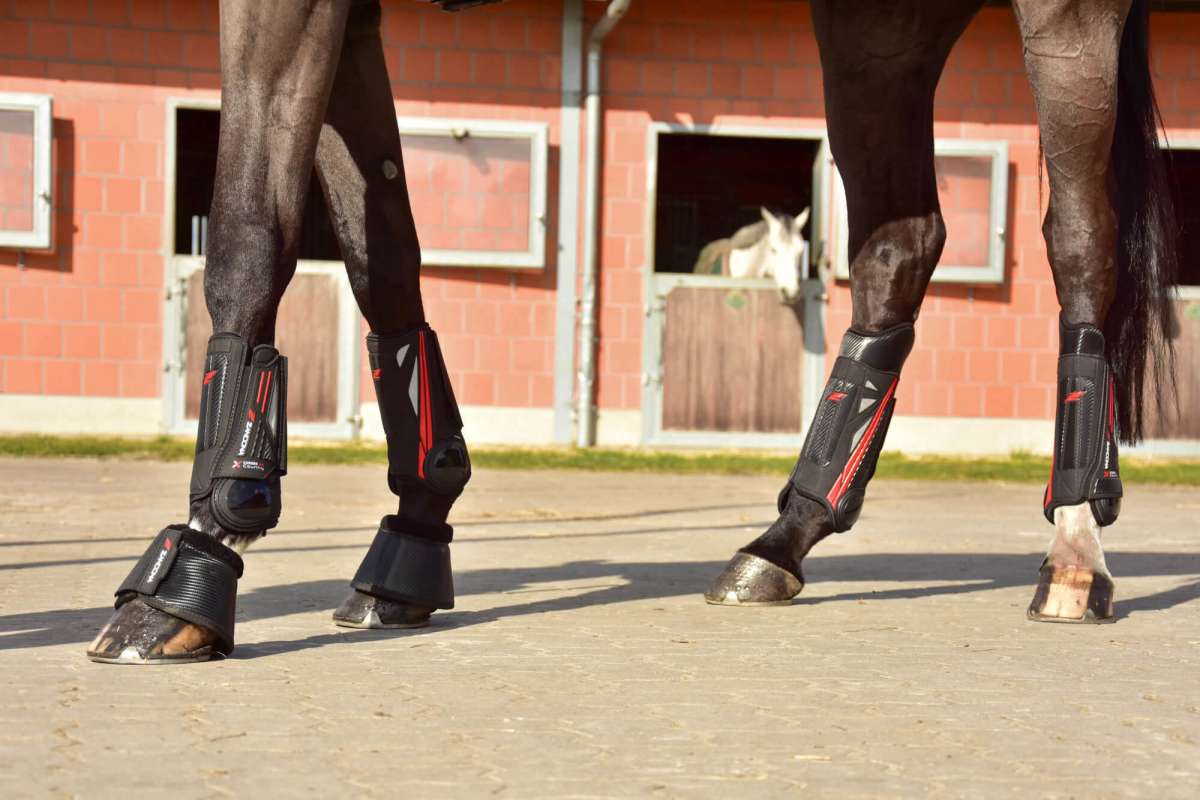 Zandona Cross Country Boots Carbon Air X-Country Rear | FUNDIS