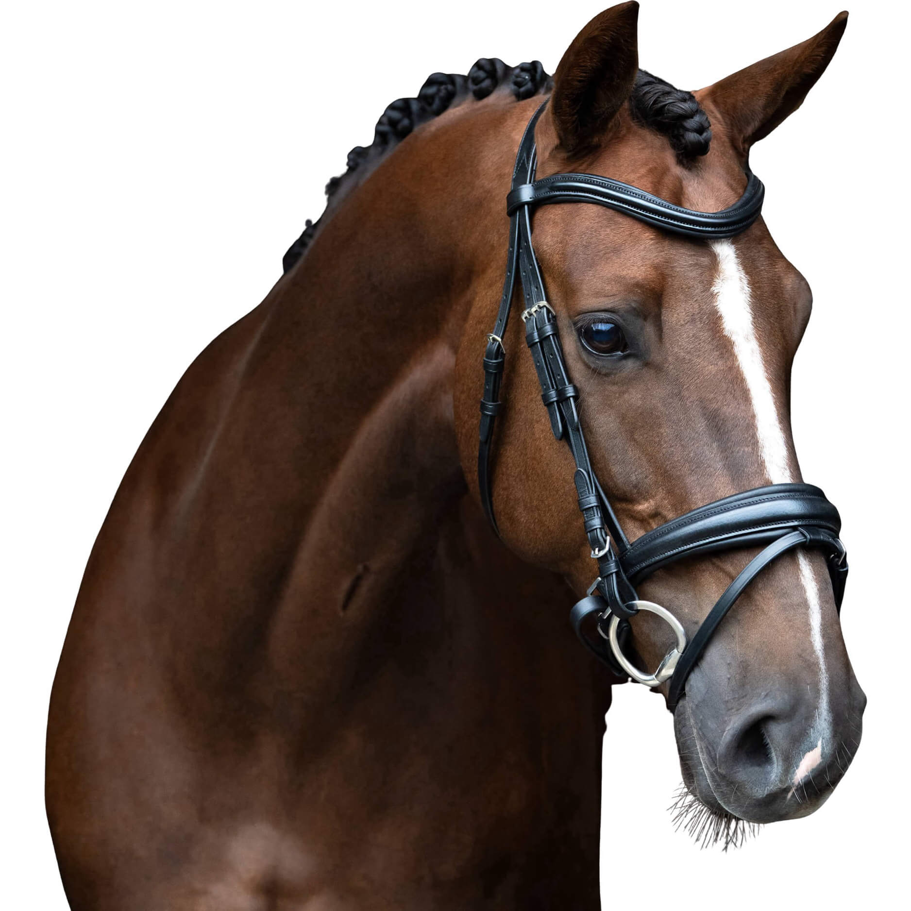 Imperial Riding Trense IRH Sleek, englisch kombiniert, ohne Zügel