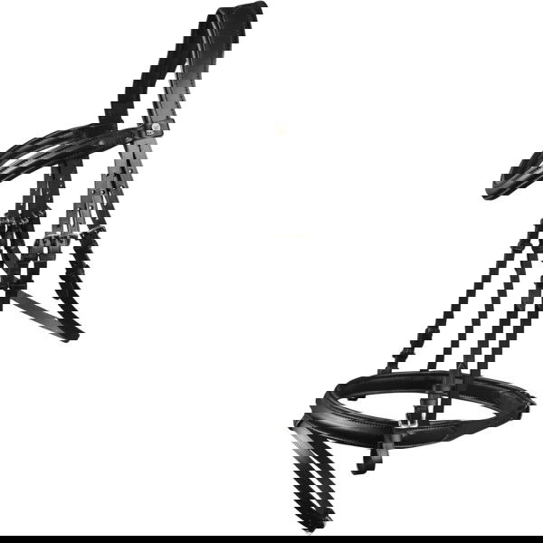 Waldhausen Bridle X-Line London, English Combined, with Reins