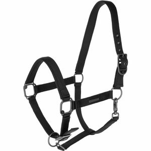 Covalliero Halfter FS25, Nylonhalfter Covalliero Halfter FS25, Nylonhalfter