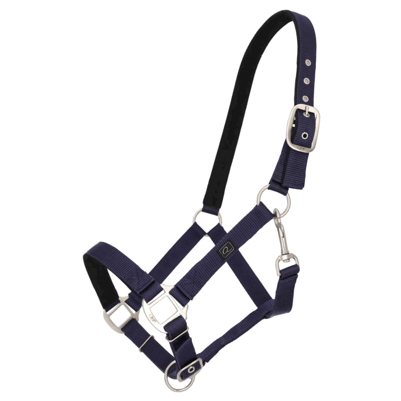 QHP Halfter, Nylonhalfter, mit Polsterung