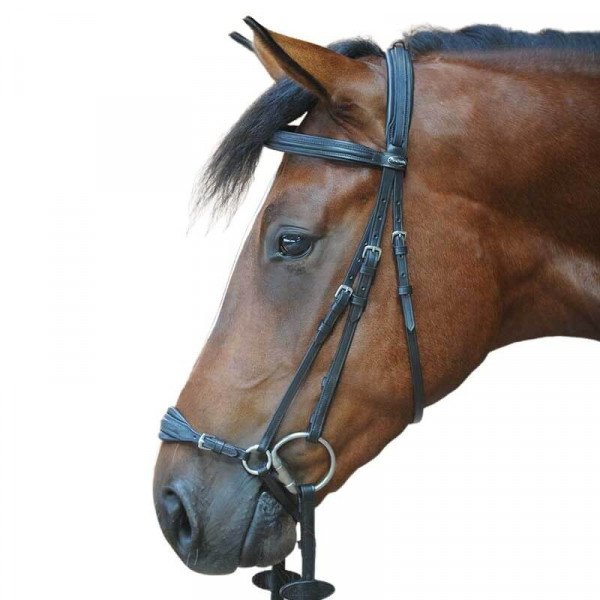 Kavalkade Bridle Levana with Dropped Noseband, with Reins