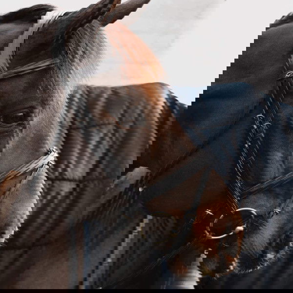 Dyon Flash Strap 5/8 NEC, with Chain