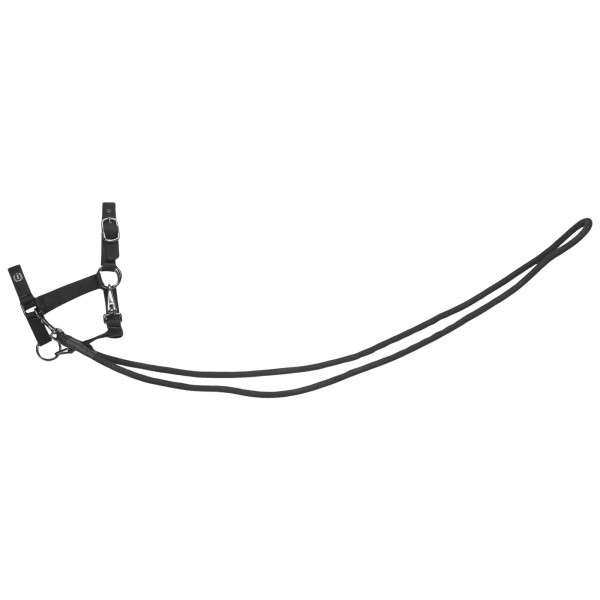 Imperial Riding Hobby Horse Halfter, Hobby Horsing