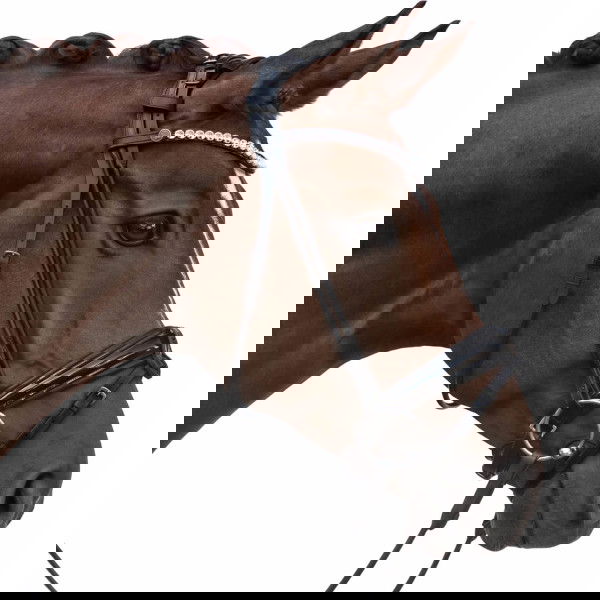 Bridlery Trense Classic, schwedisch kombiniert, rundgenäht, ohne Zügel