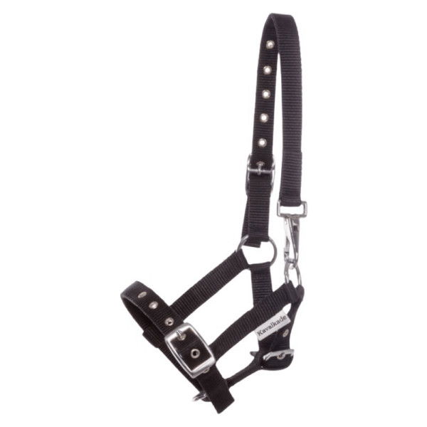 Kavalkade Halters, Foal Halter, Yearling Halter