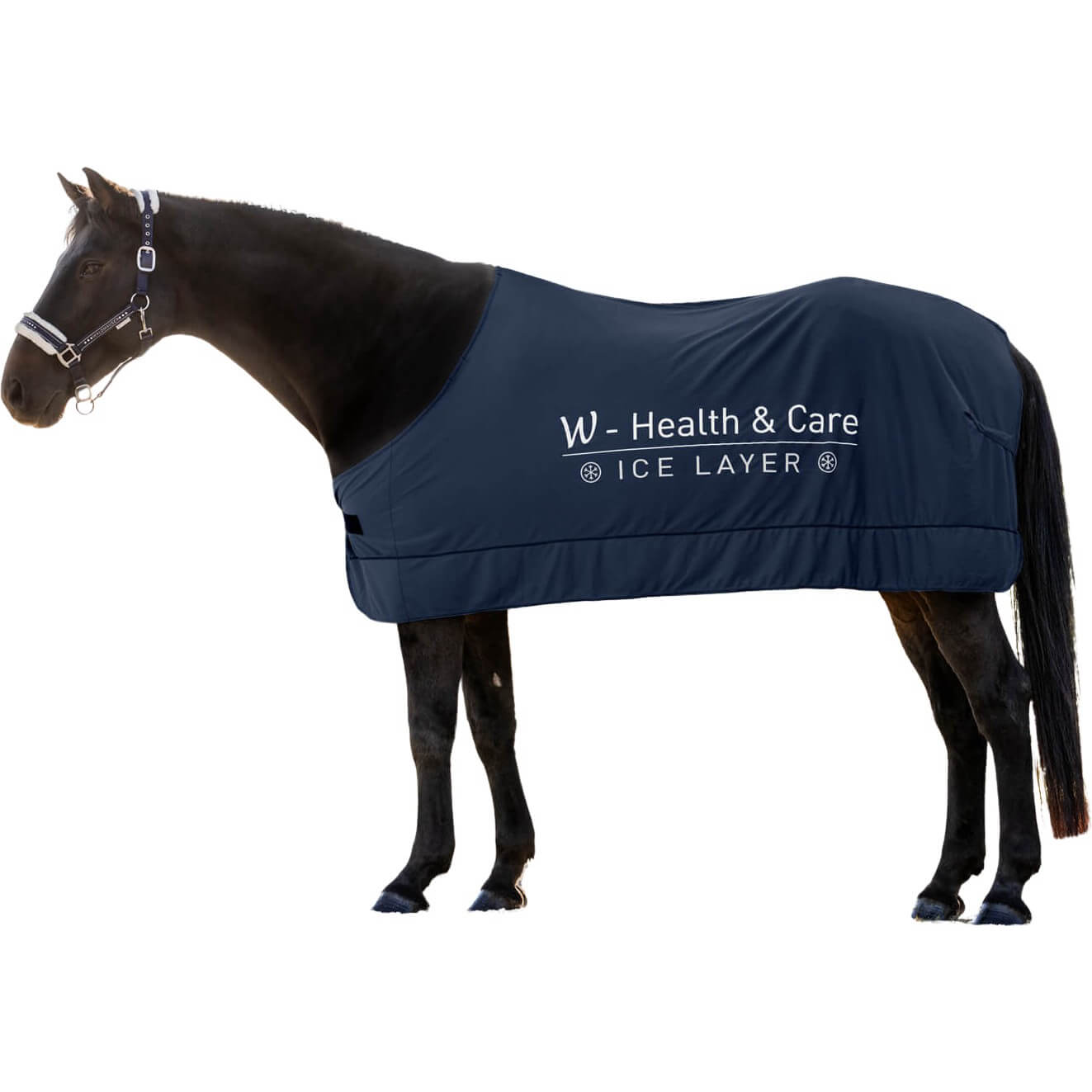 Waldhausen Ice Layer Cooling Rug Health & Care FUNDIS Equestrian