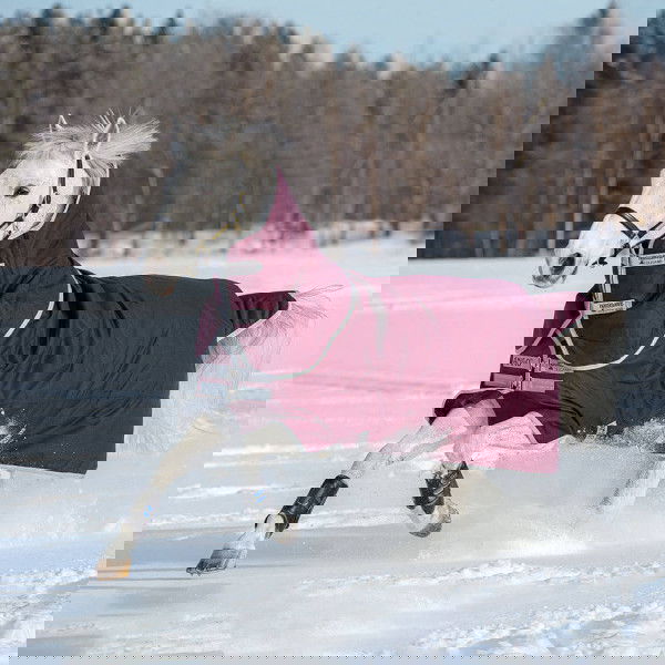 Horseware Amigo Hero Ripstop Plus Lite, 0 g