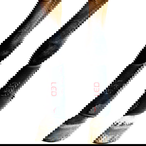 Horseware Therapiegamasche LED Red Light Therapy FS26, rechts, LED Rotlichttherapie