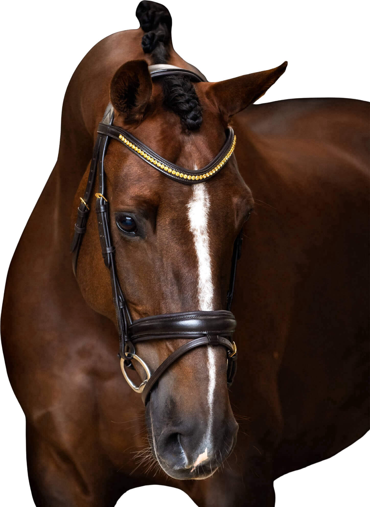 Imperial Riding Trense IRH, englisch kombiniert, ohne Zügel