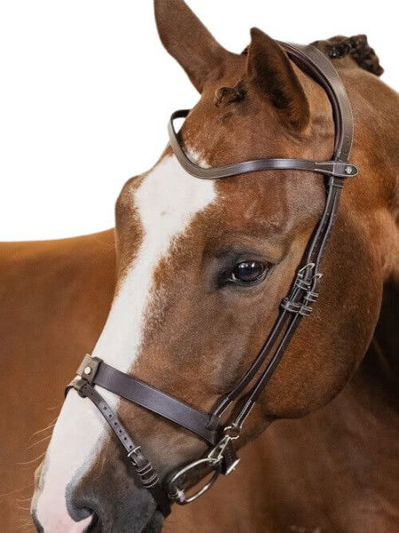 PS of Sweden Bridle London, English Noseband, without Reins