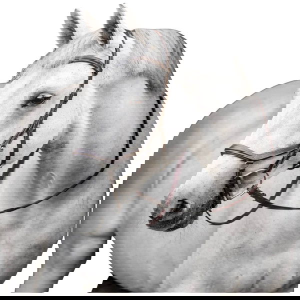 Horseware Bridle Micklem 3 Deluxe Competition Bridle, without Reins