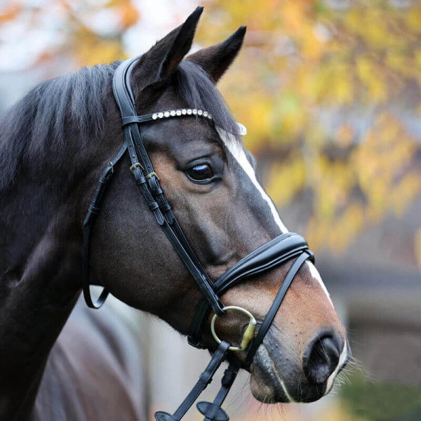 Kavalkade Bridle Juliana, english combined, with reins