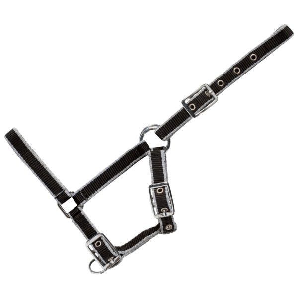 USG Halter, Foal Halter