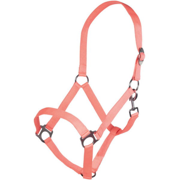 HKM Halter Stars Economy Softice, Nylon Halter