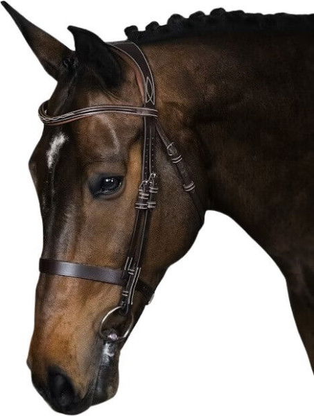 PS of Sweden Bridle Wellington, English, without Reins