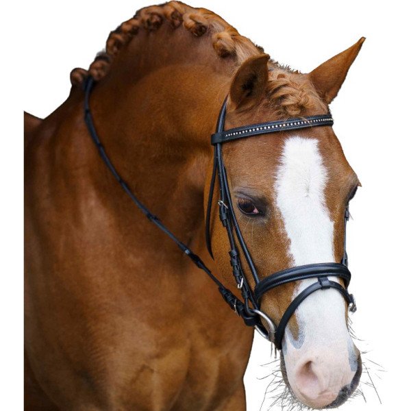 Imperial Riding Bridle IRHStormy, Shetty Bridle, Snaffle Bridle