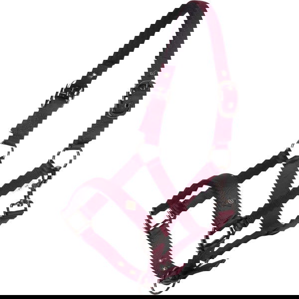 Imperial Riding Halfter IRHRebel HW25, Nylonhalfter