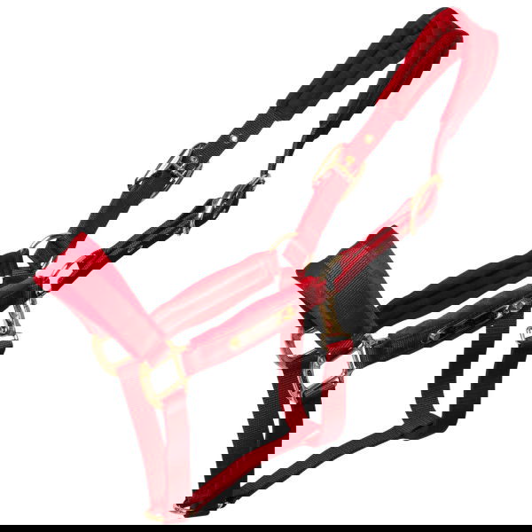 Kentucky Horsewear Halter Velvet, Nylon Halter, Velvet Halter