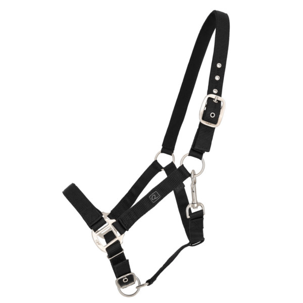 QHP Halfter, Nylonhalfter, mit Polsterung