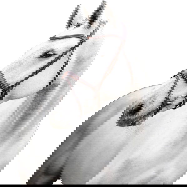 Horseware Bridle Pony Flash FW25, Swedish Combined, without Reins