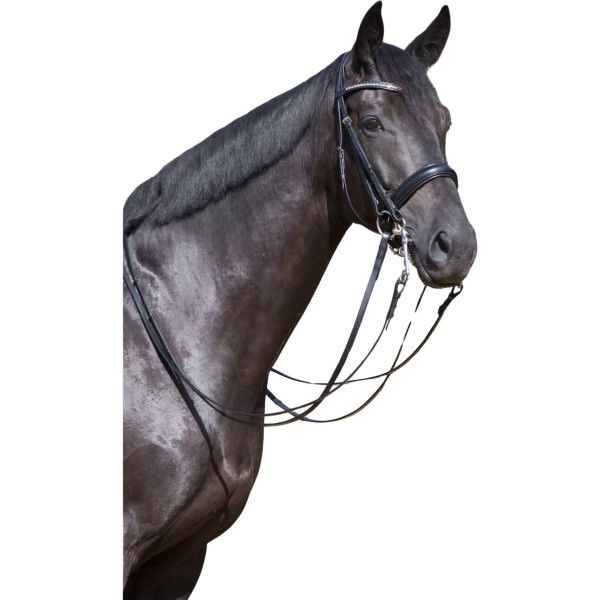 Kieffer Double Bridle Comfort Lyon, Swedish Noseband, with Reins