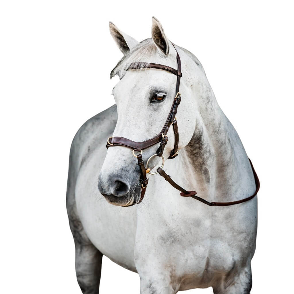 Horseware Trense Micklem 2 Multi Bridle