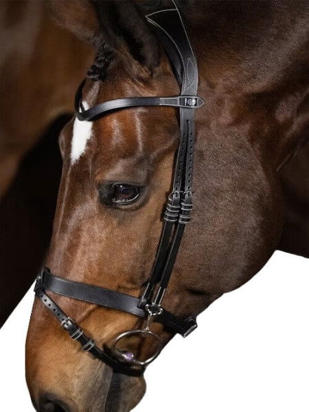 PS of Sweden Bridle London, English Noseband, without Reins