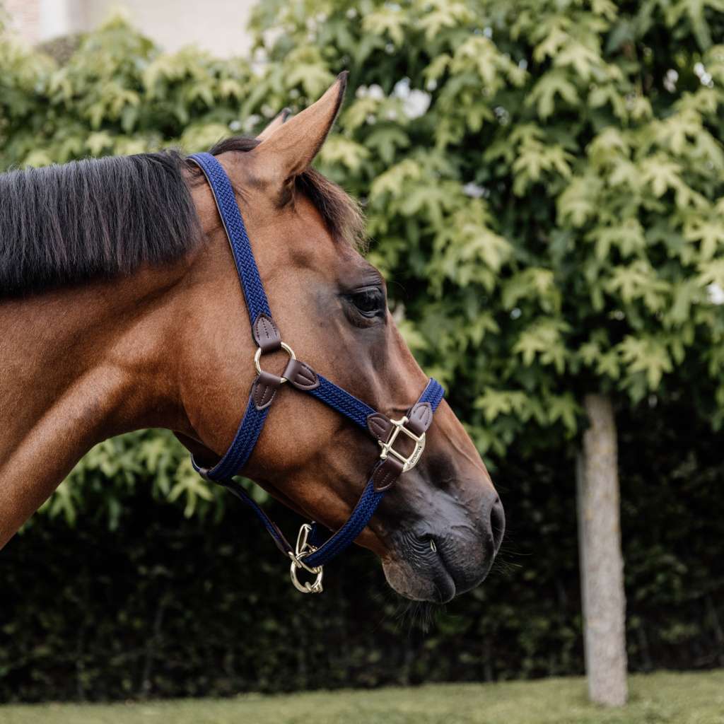 Kentucky Horsewear Halfter Navy - Geflochtenes Nylon Für Pferde