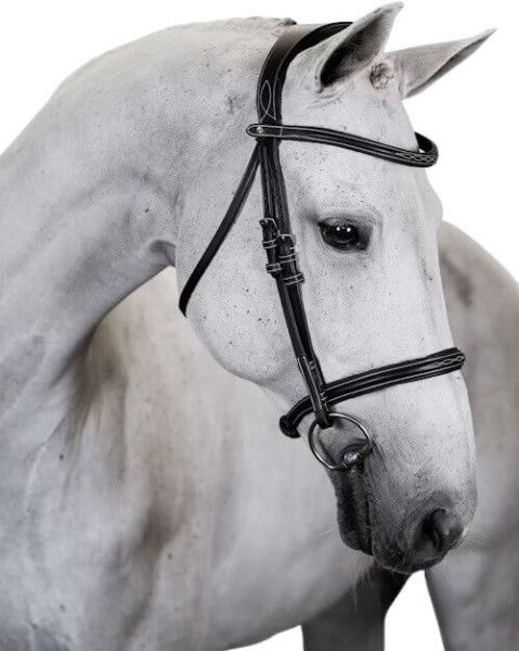 PS of Sweden Bridle Ocala, English, without Reins