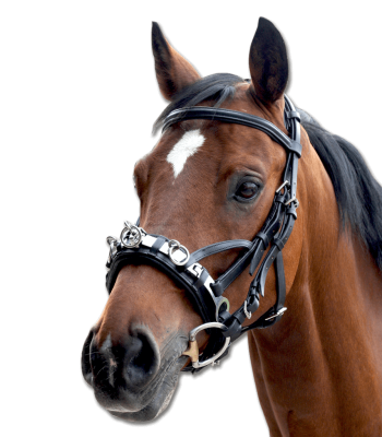 Waldhausen Kappzaum, Leder, inklusive Gebissriemen