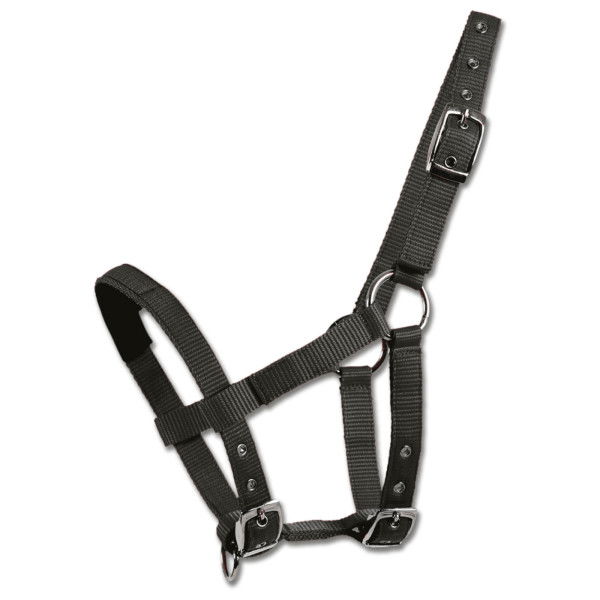 Waldhausen Mini-Shetty Halfter, Nylonhalfter