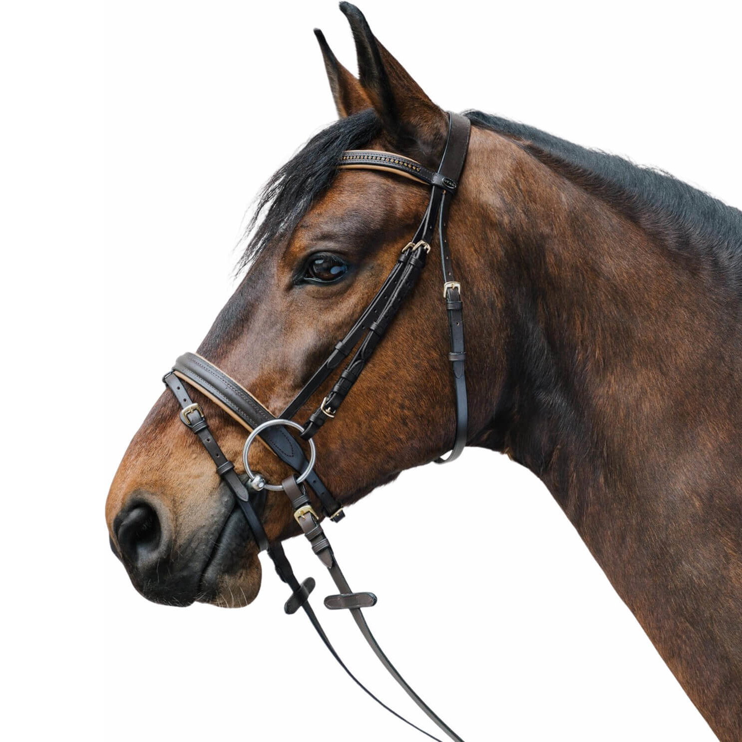 Waldhausen Trense Star Diamond, englisch kombiniert, mit Zügeln