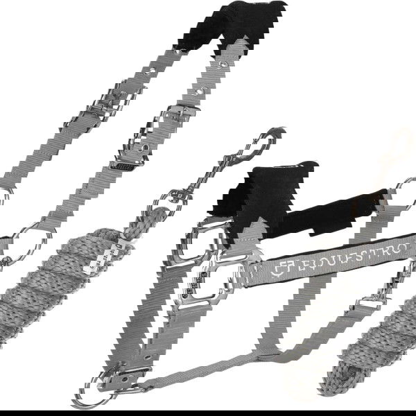 Equestro Halfter Set, Nylonhalfter mit Fleece, mit Führstrick