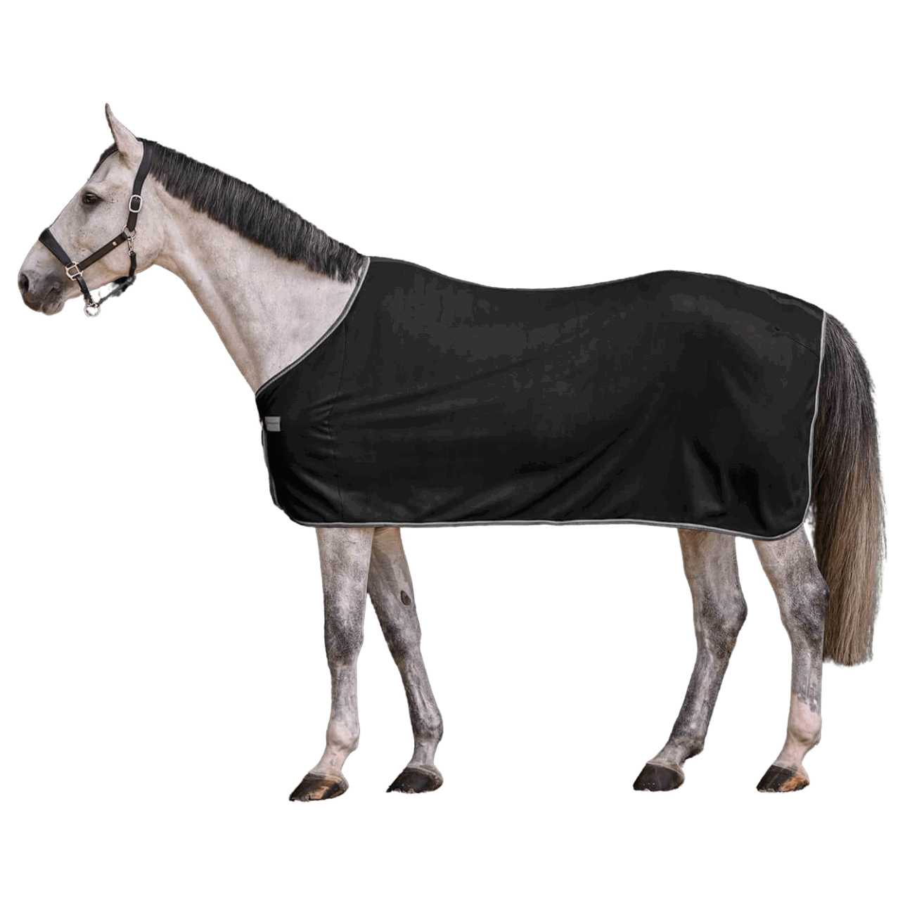 Waldhausen Abschwitzdecke Economic, Fleecedecke