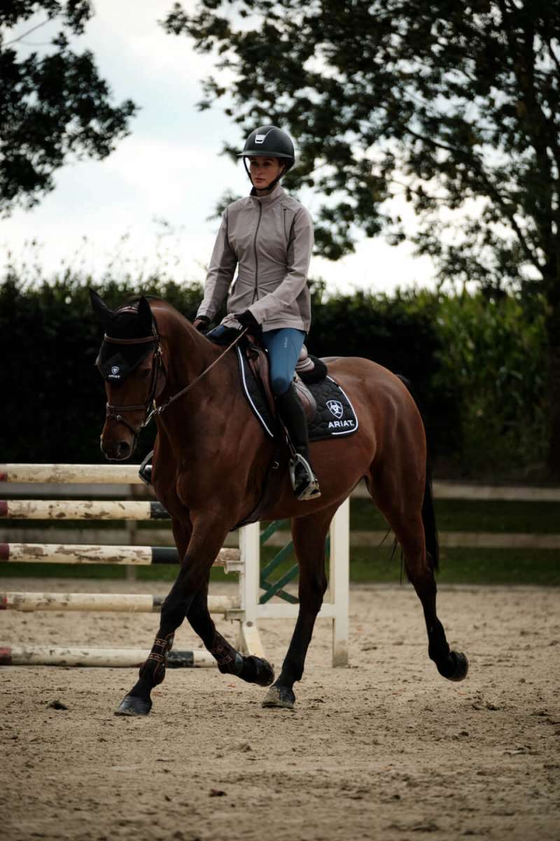 Ariat riding trainers hot sale