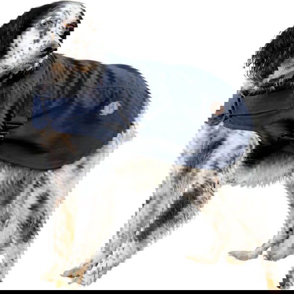 Horseware Dog Coat Newmarket FW25, Dog Rug, with Fleece