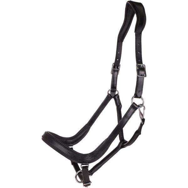 QHP Halter Salerno, Leather Halter