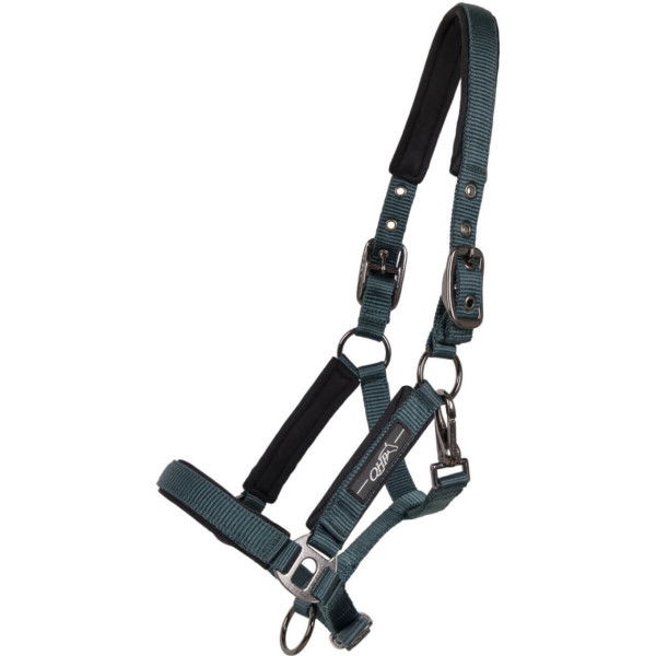 QHP Foal Halter Deluxe, Nylon Halter, Padded