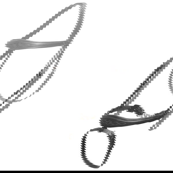 Dyon Interchangeable Noseband NEC, Anatomical, English Combined, with Chin Chain