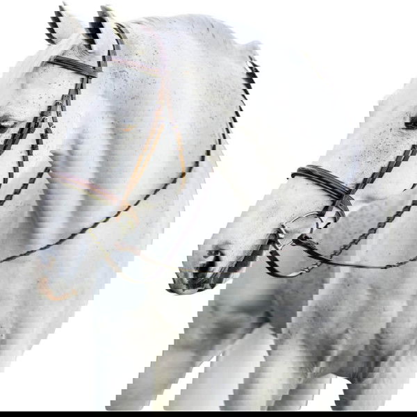 Horseware Bridle Hunter Cavesson Pony FW25, English Nosebands, with Reins, without Flash Strap