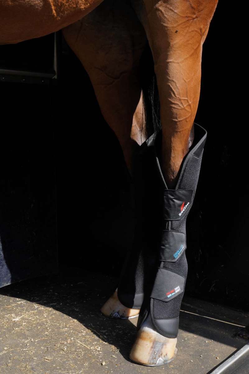 Zandona Transport Boots Pro-Safe Rear | FUNDIS Equestrian
