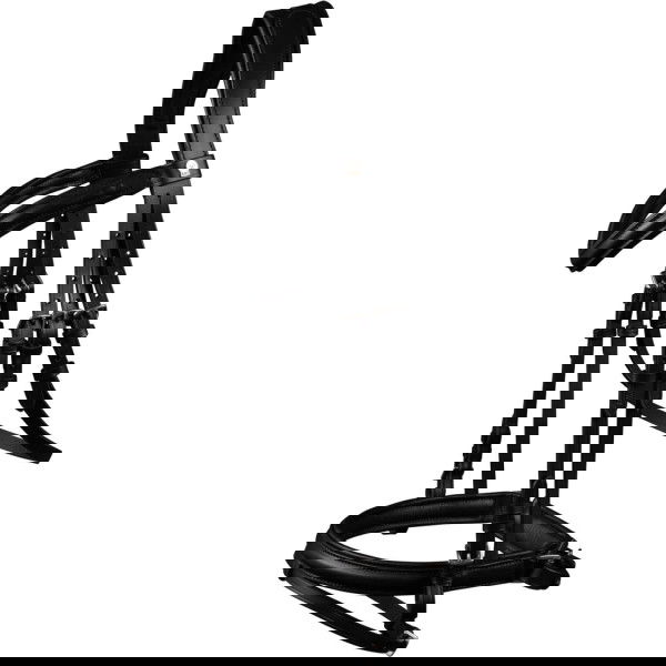 Waldhausen Bridle X-Line Stockholm, Swedish Combined, with Reins