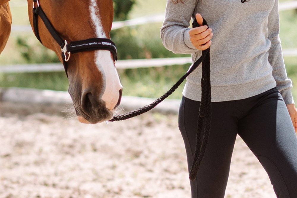  Horse Whips Training Soft Cotton Rope Thick Rope for
