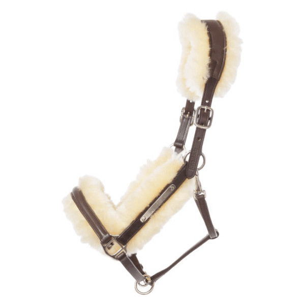 Kavalkade Halter Marvellous, Leather Halter with Lambskin