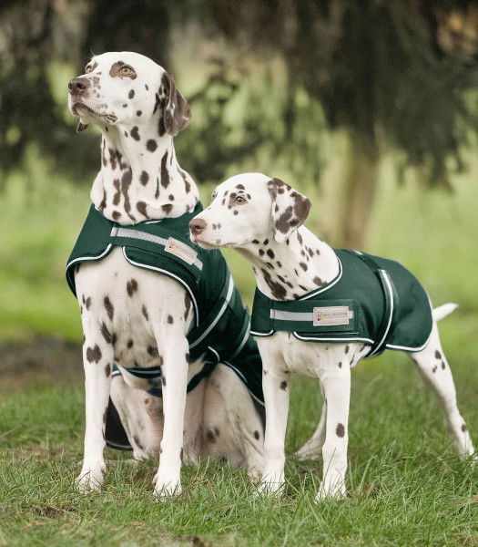 Waldhausen Dog Rug, Rain Dog Coat, with Fleece