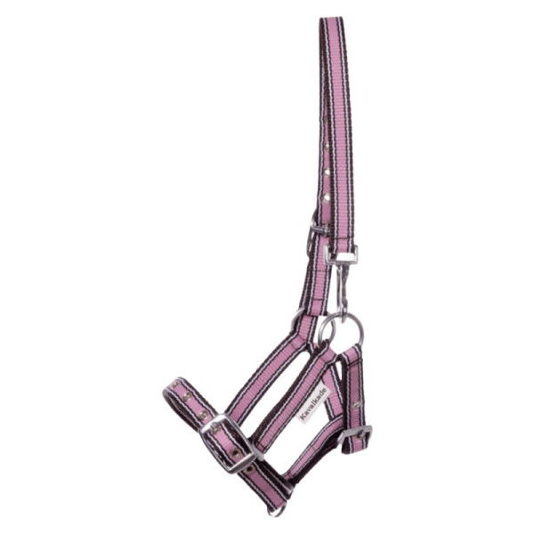 Kavalkade Halters, Foal Halter, Yearling Halter