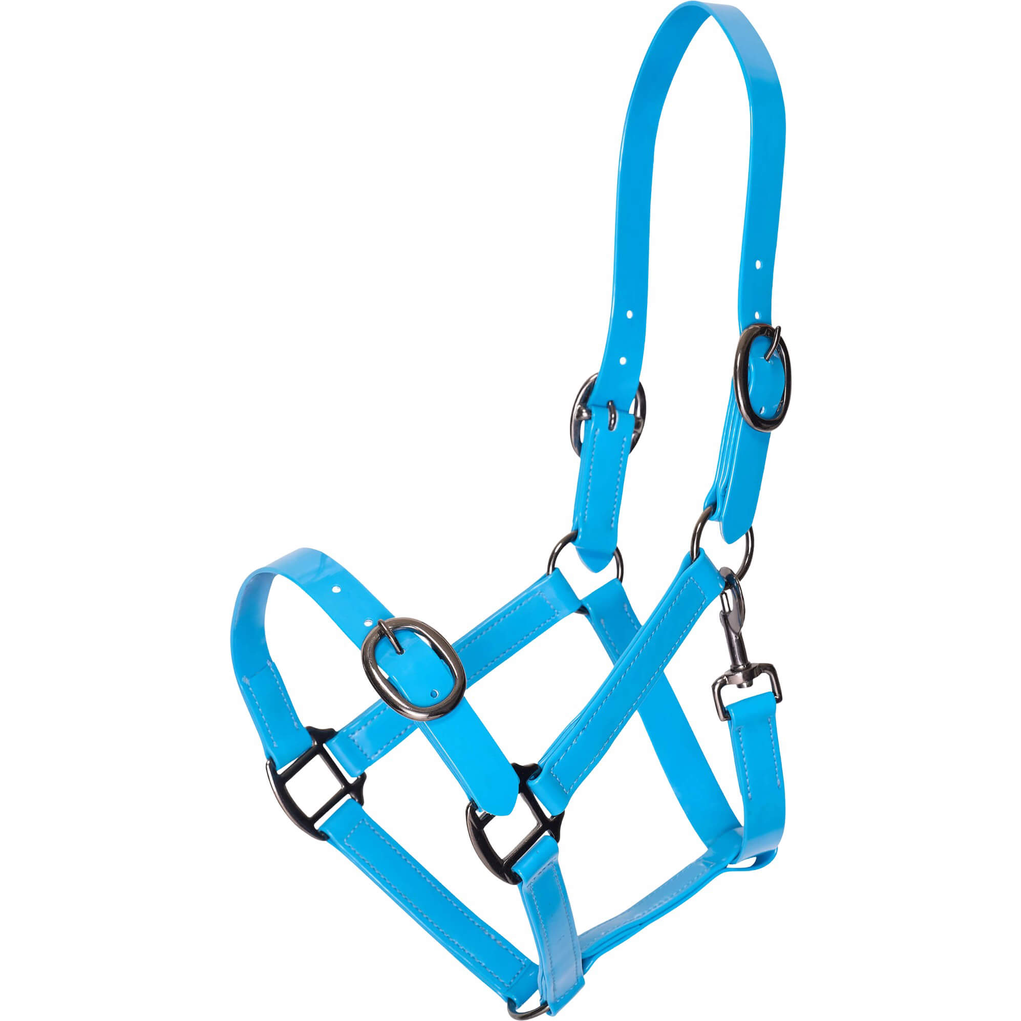 Imperial Riding Halfter Halfter IRHSuper-proof Glossy HW25, Beschichtetes Nylonhalfter